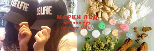 гашик Осташков