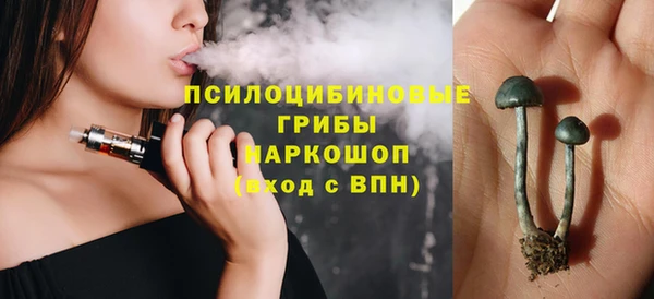 дмт Армянск