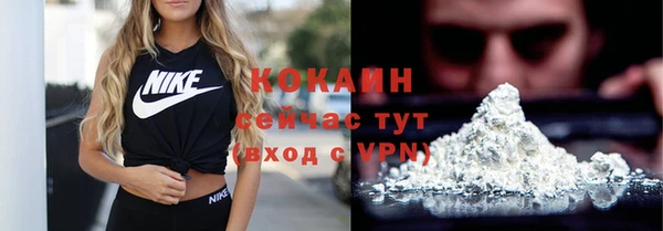 гашик Осташков