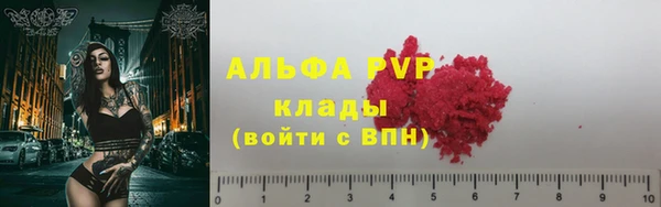 гашик Осташков