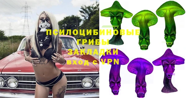 Альфа ПВП Арсеньев