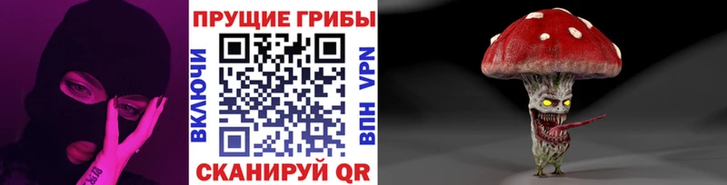 Псилоцибиновые грибы прущие грибы  как найти наркотики  Сим 
